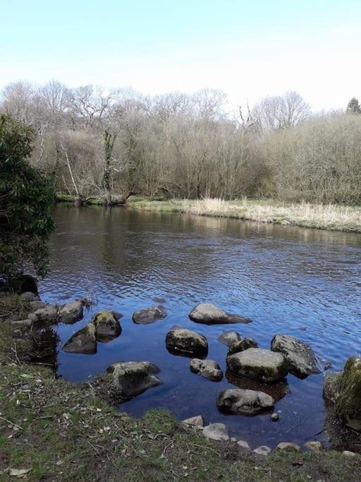 Stunning 3 Bed Riverside Cabin In Snowdonia Caeathro Екстериор снимка