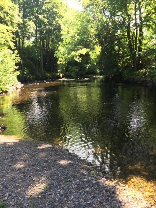 Stunning 3 Bed Riverside Cabin In Snowdonia Caeathro Екстериор снимка