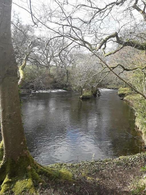 Stunning 3 Bed Riverside Cabin In Snowdonia Caeathro Екстериор снимка