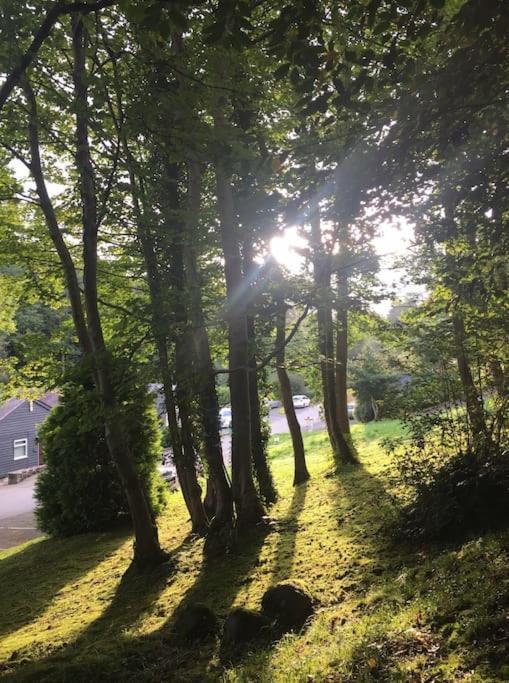 Stunning 3 Bed Riverside Cabin In Snowdonia Caeathro Екстериор снимка